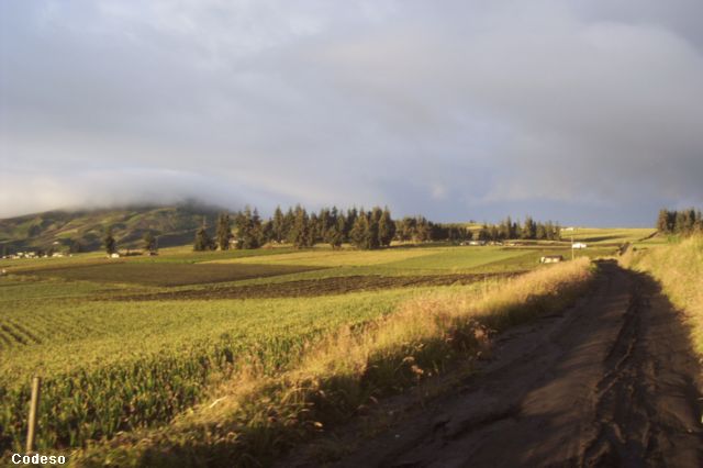 Paramo Sierra Andes